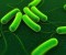 El contacto precoz con microbios mejora las defensas